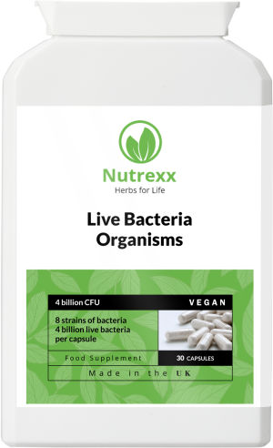Live Bacteria Organisms